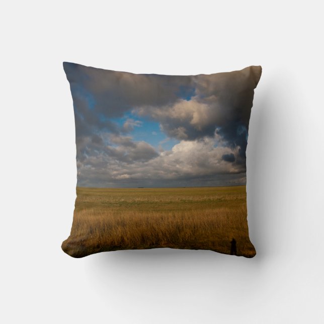 Pampas Throw Pillow (Front)