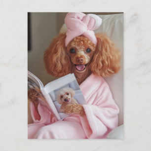 Pampered Poodle Reading Day Postcard