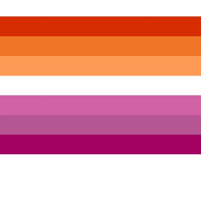 Pan African Flag Socks (Lesbian Pr4ide Flag)