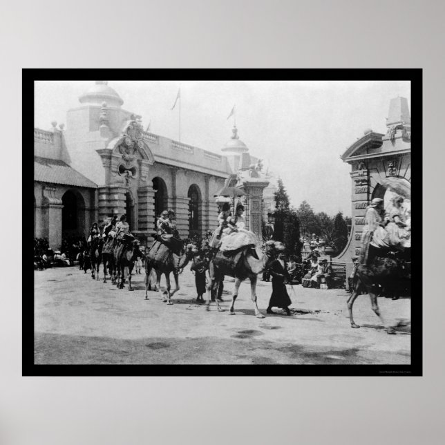 Pan Am Expo Camel Parade 1901 Poster (Front)