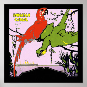 Panama Canal Parrots Poster