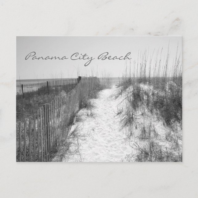 Panama City Beach Access Black & White Postcard (Front)