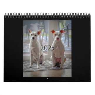 Pancake and milkshake, medium calendar