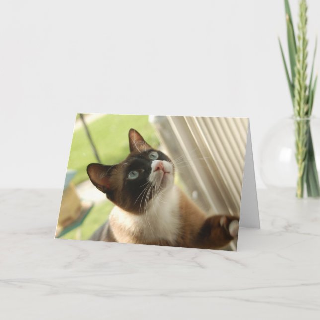 Pancake Card (Front)