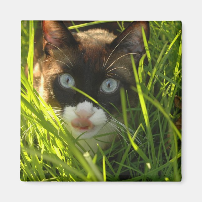 Pancake Magnet (Front)