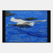 Héron bleu géant, Estuaire