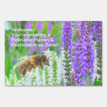 Message "Pollinator Haven & Pesticide Free Zone"