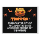 Trumpkin contre Trump drôle de cour