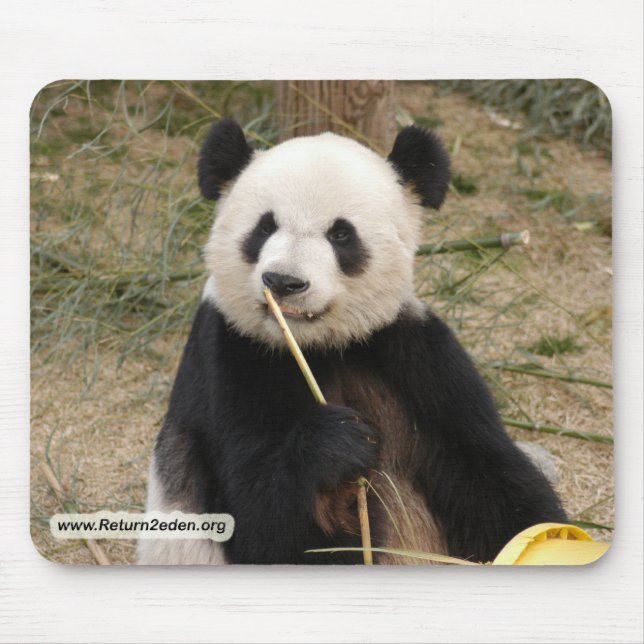 panda106 copy mouse pad (Front)