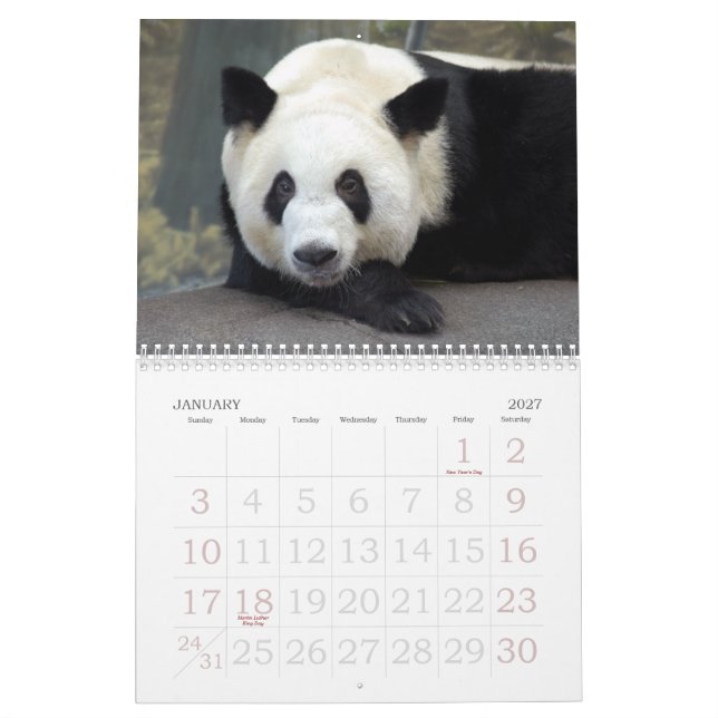 panda117, Giant Panda Bears Calendar (Jan 2027)