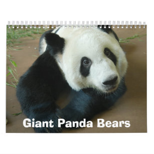 panda118, Giant Panda Bears Calendar