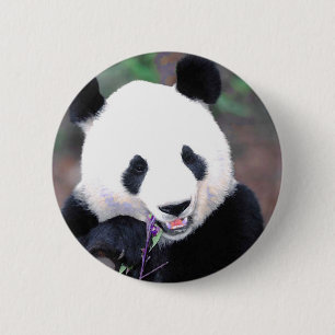 Panda 2 Inch Round Button