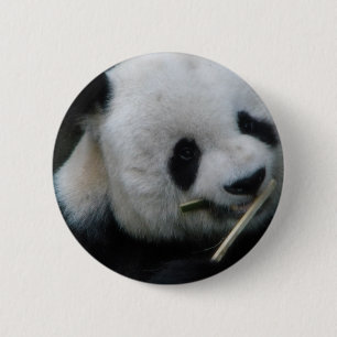 Panda 2 Inch Round Button