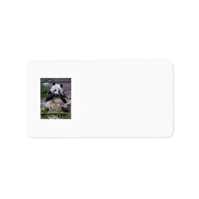 Panda address labels (Front)