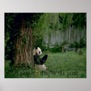 Panda affiche
