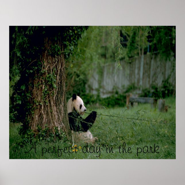 Panda affiche (Devant)