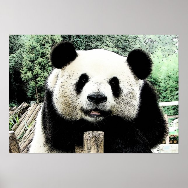 Panda Artwork Poster (Front)