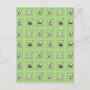 Panda Bamboo Bear Postcard