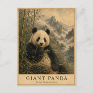 Panda Bamboo Highlands China VINTAGE Postcard