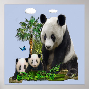 Panda bear and cubs poster
