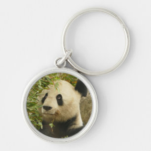 panda bear bears custom personalize Anniversaries Keychain