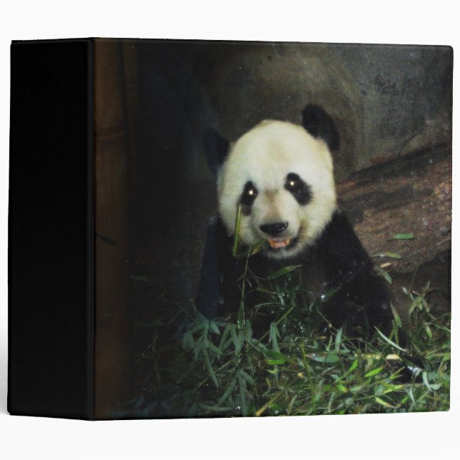 Panda Bear Binder (Front/Spine)