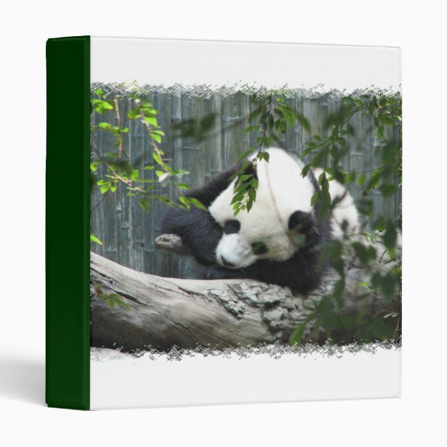 Panda Bear Binder (Front/Spine)