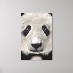 Panda Bear Canvas Print