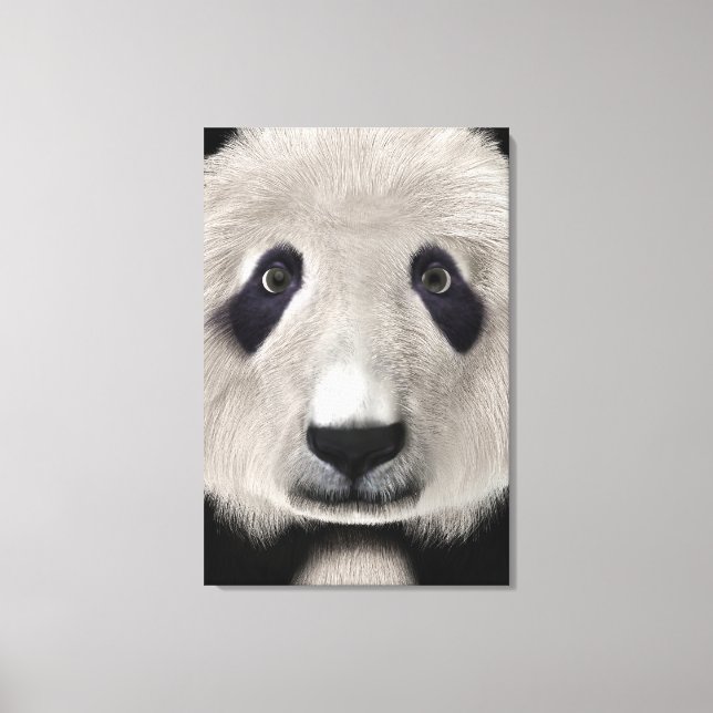 Panda Bear Canvas Print (Front)