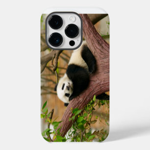 Panda Bear Case-Mate iPhone case