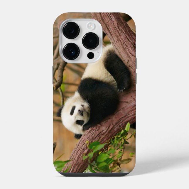 Panda Bear Case-Mate iPhone case  (Back)