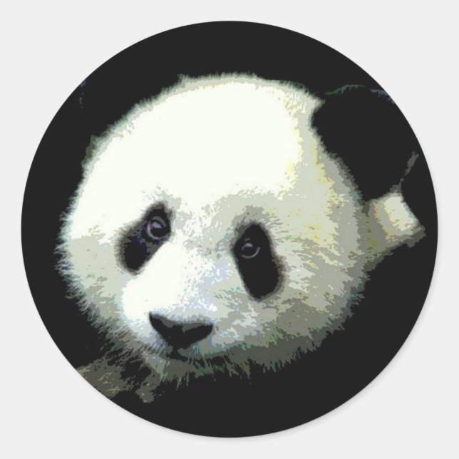 Panda Bear Classic Round Sticker (Front)