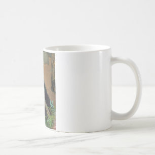 Panda Bear Coffee Mug