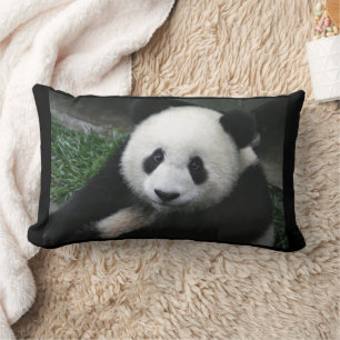 PANDA BEAR CUDDLE COUSSINS