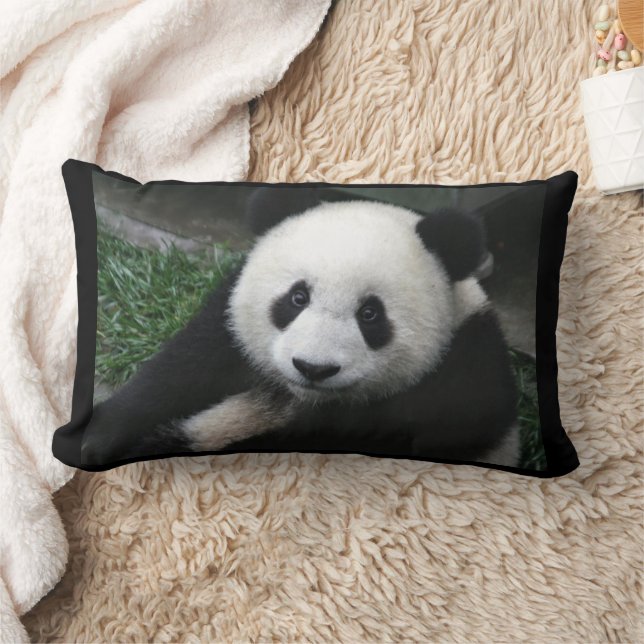 PANDA BEAR CUDDLE PILLOWS (Blanket)