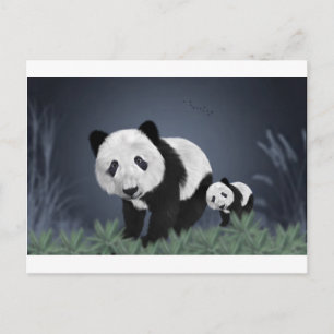 panda bear cute cuddly animal black white sweet postcard