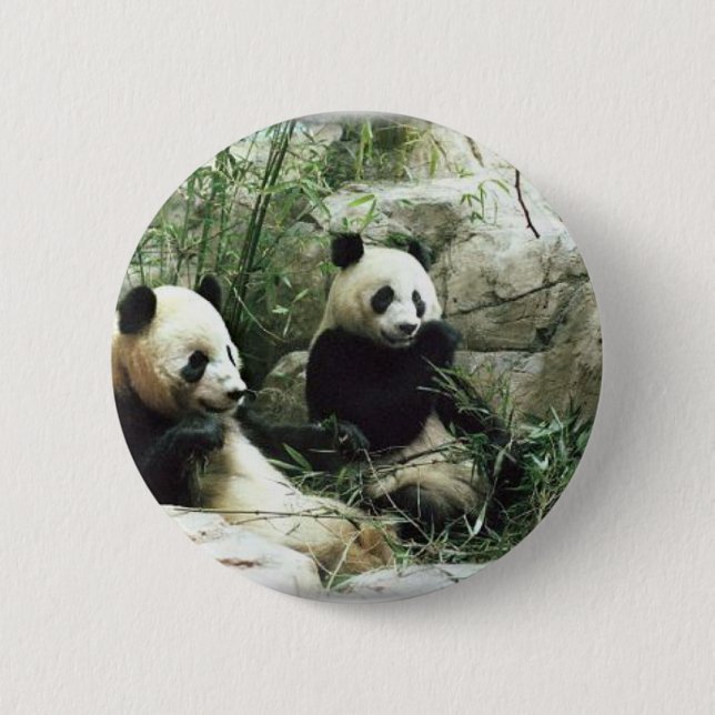 Panda bear eating and playing 2 inch round button (Front)