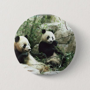 Panda bear eating and playing 2 inch round button