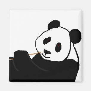 Panda bear eating magnet
