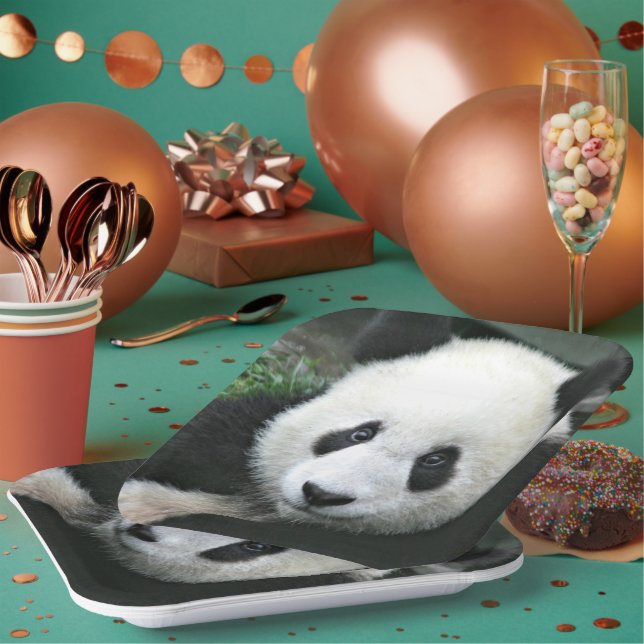 Panda Bear Face Paper Plates (Multi)