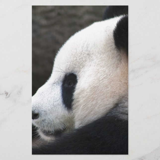 Panda Bear Hugs (Front)