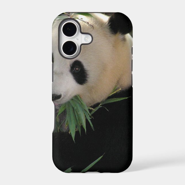 Panda Bear Hugs (Back)