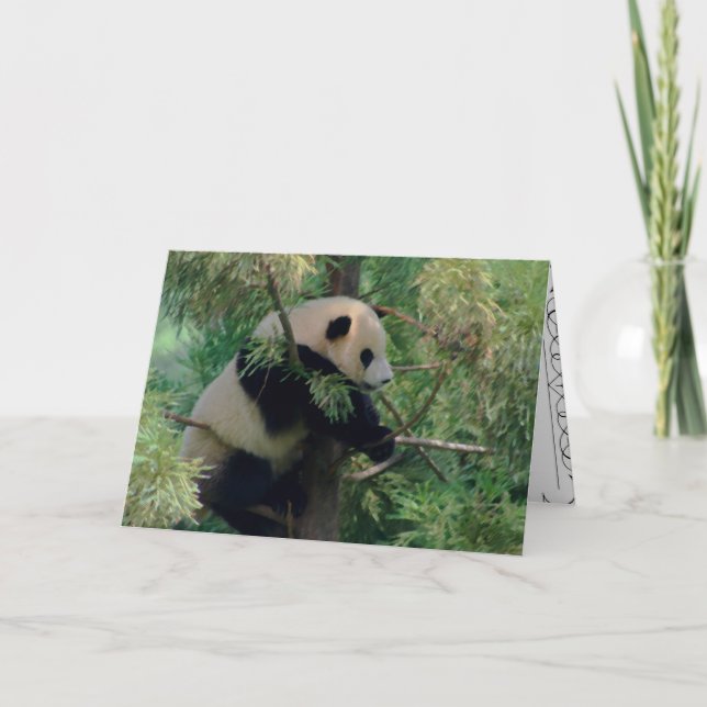 Panda Bear Hugs Card (Front)