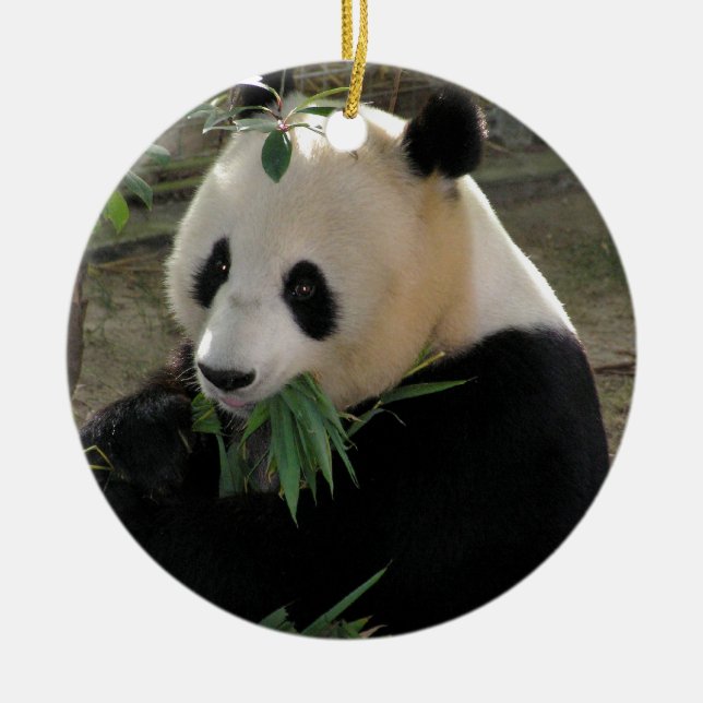 Panda Bear Hugs Ceramic Ornament (Front)