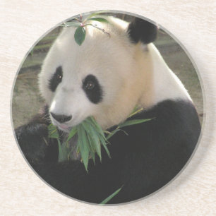 Panda Bear Hugs Coaster