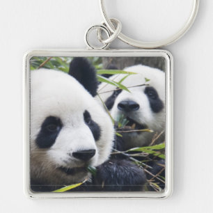 Panda Bear Hugs Keychain