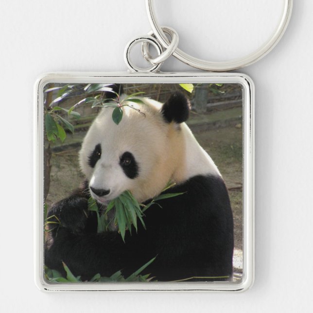 Panda Bear Hugs Keychain (Front)