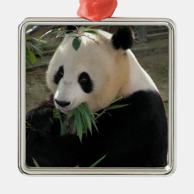 Panda Bear Hugs Metal Ornament (Front)
