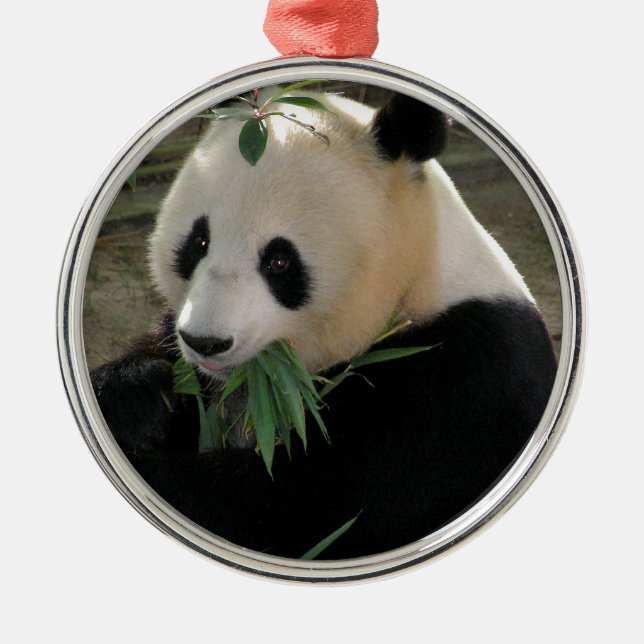Panda Bear Hugs Metal Ornament (Front)