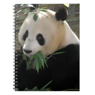Panda Bear Hugs Notebook